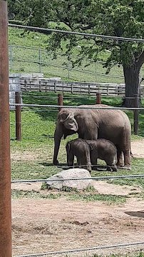 Helga Beck Asian Elephant Preserve photo 2