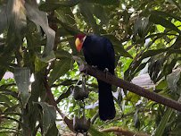 Helga Beck Asian Elephant Preserve photo 3