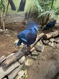 Helga Beck Asian Elephant Preserve photo 4