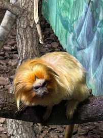 Helga Beck Asian Elephant Preserve photo 5