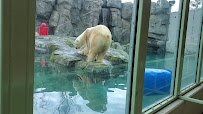 Alaska Zoo photo 2