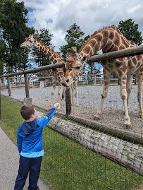 Hovatter’s Wildlife Zoo