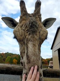 Hovatter’s Wildlife Zoo photo 2