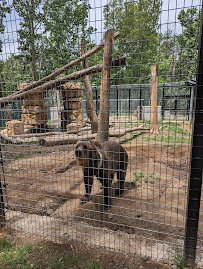 Hovatter’s Wildlife Zoo photo 3
