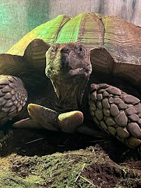 Living Shores Aquarium photo 5