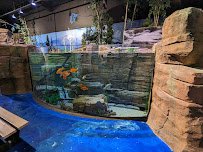 Living Shores Aquarium photo 6
