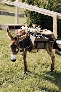 The Pint Sized Pasture photo 2