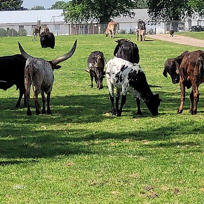 Dutch Creek Farm Animal Park