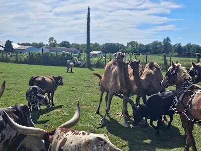 Dutch Creek Farm Animal Park photo 3