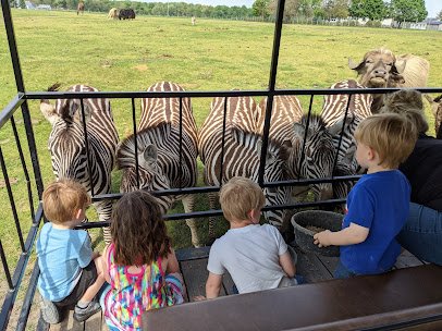 Dutch Creek Farm Animal Park photo 4