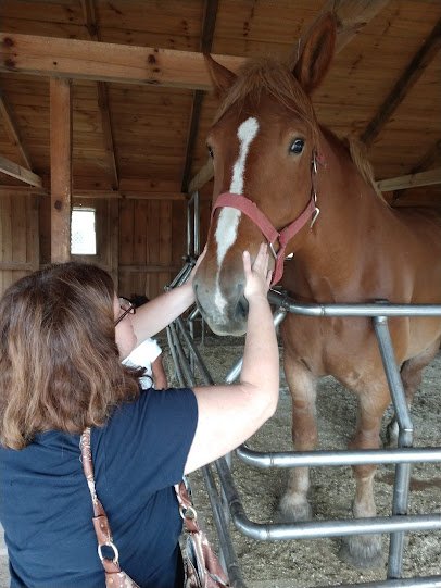 Dutch Creek Farm Animal Park photo 5