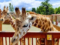 Animal Adventure Park photo 3