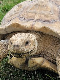 Animal Adventure Park photo 5