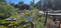 Crystal Cave and Falls Adventure Mini Golf photo 5
