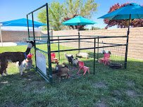 Barber Family Farm photo 3