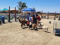 Barber Family Farm photo 5