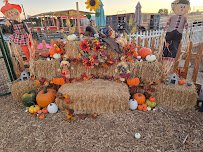 Barber Family Farm photo 6