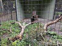 Sulphur Creek Nature Center photo 5