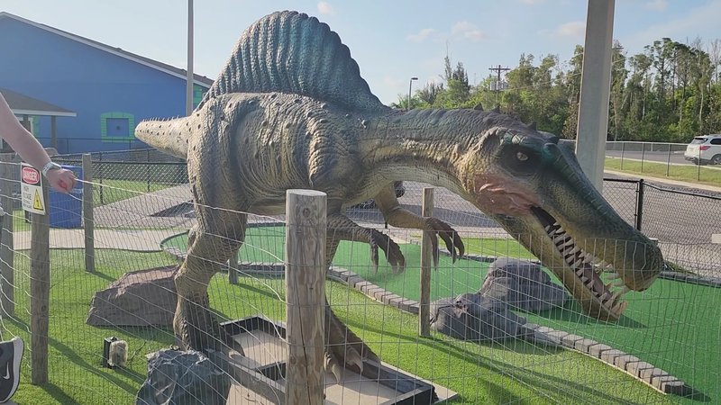 Gator Mike's Family Fun Park photo 2