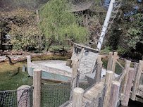 Gulf Coast at Fort Worth Zoo photo 3