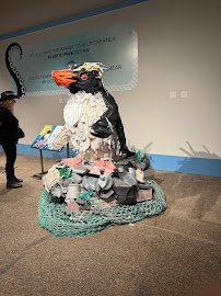 Newport aquarium photo 4