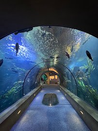 Newport aquarium photo 6