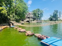 Pine Lake Waterpark photo 4