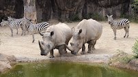 The Maryland Zoo in Baltimore photo 3