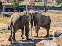 The Maryland Zoo in Baltimore photo 6