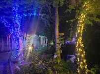 Zoo Lights at Palm Beach Zoo