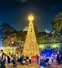 Zoo Lights at Palm Beach Zoo photo 4