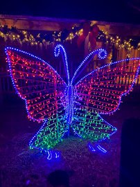 Zoo Lights at Palm Beach Zoo photo 6