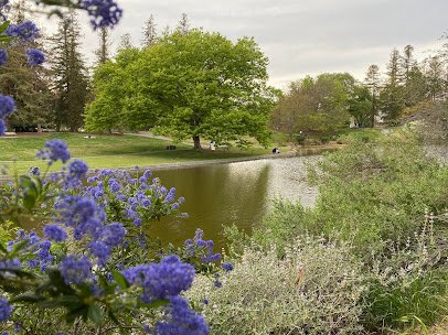 UC Davis Arboretum Teaching Nursery