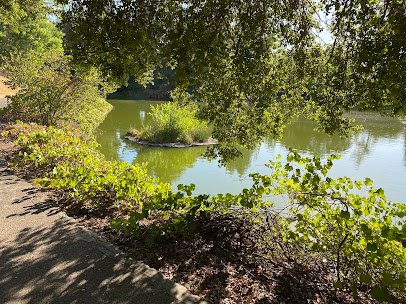 UC Davis Arboretum Teaching Nursery photo 6