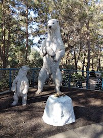 Northern Frontier photo 4