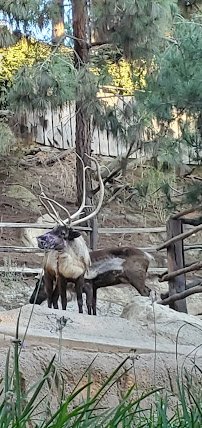 Northern Frontier photo 5