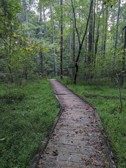 Autrey Mill Nature Preserve & Heritage Center photo 3
