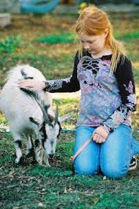 Little Explorers Mobile Petting Zoo photo 5