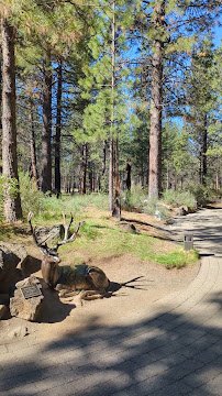 High Desert Museum photo 2