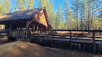 High Desert Museum photo 4