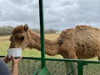 Bayou Wildlife Zoo photo 5