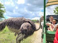 Bayou Wildlife Zoo photo 6