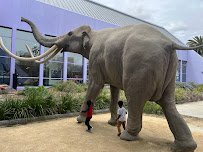 Children's Discovery Museum of San Jose photo 5