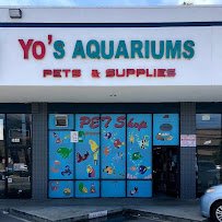 Yo's Aquarium