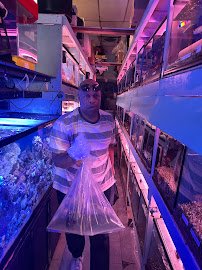 Yo's Aquarium photo 2