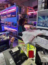 Yo's Aquarium photo 3