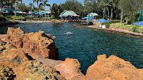 Marine Mammal Keeper Experience