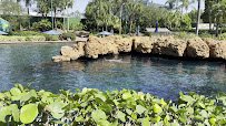 Marine Mammal Keeper Experience photo 2