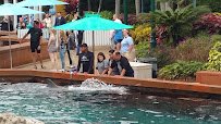 Marine Mammal Keeper Experience photo 5