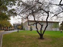 World Ice Arena photo 6